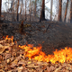 Illustration for article titled Science of the Fiery Dust Devil Spawned by a Controlled Burn